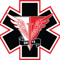 Elite Medical Training Solutions Moodle Site